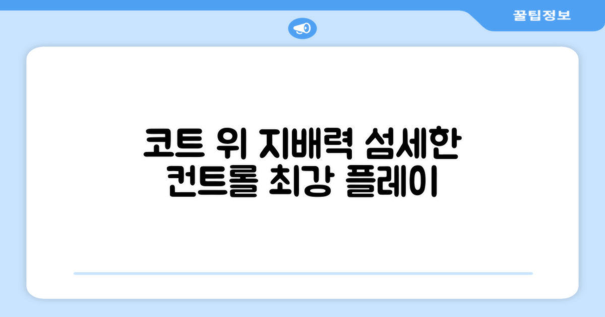 섬세한 컨트롤, 코트 위 지배력