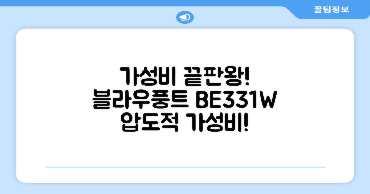 가성비 끝판왕, 블라우풍트 BE331W