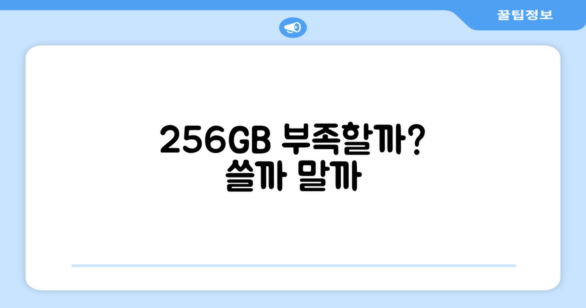 256GB, 부족하진 않을까?