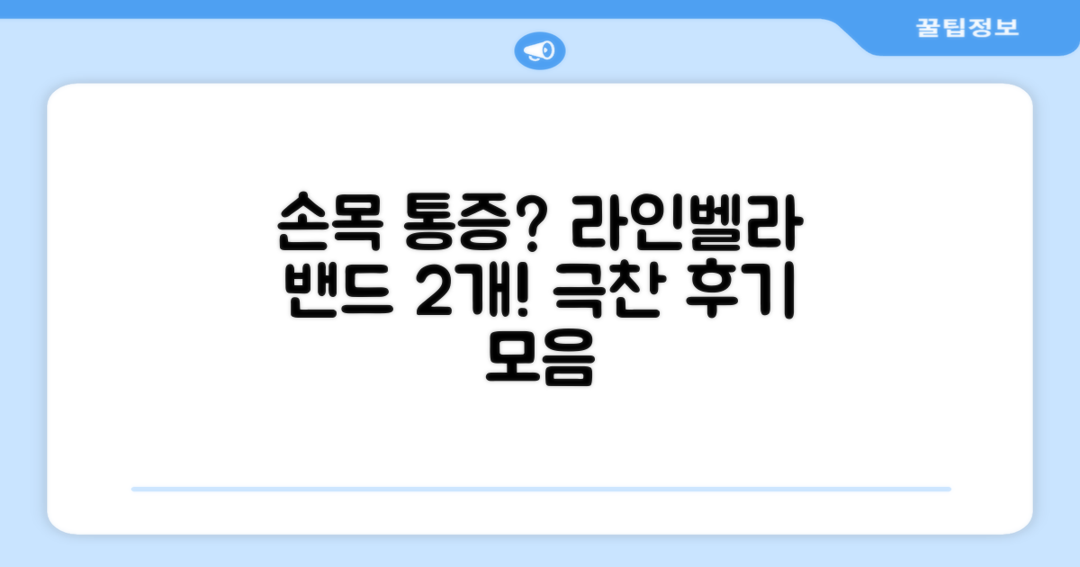 라인벨라 의료용 손목 압박용 밴드 블랙, 2개 추천 리뷰