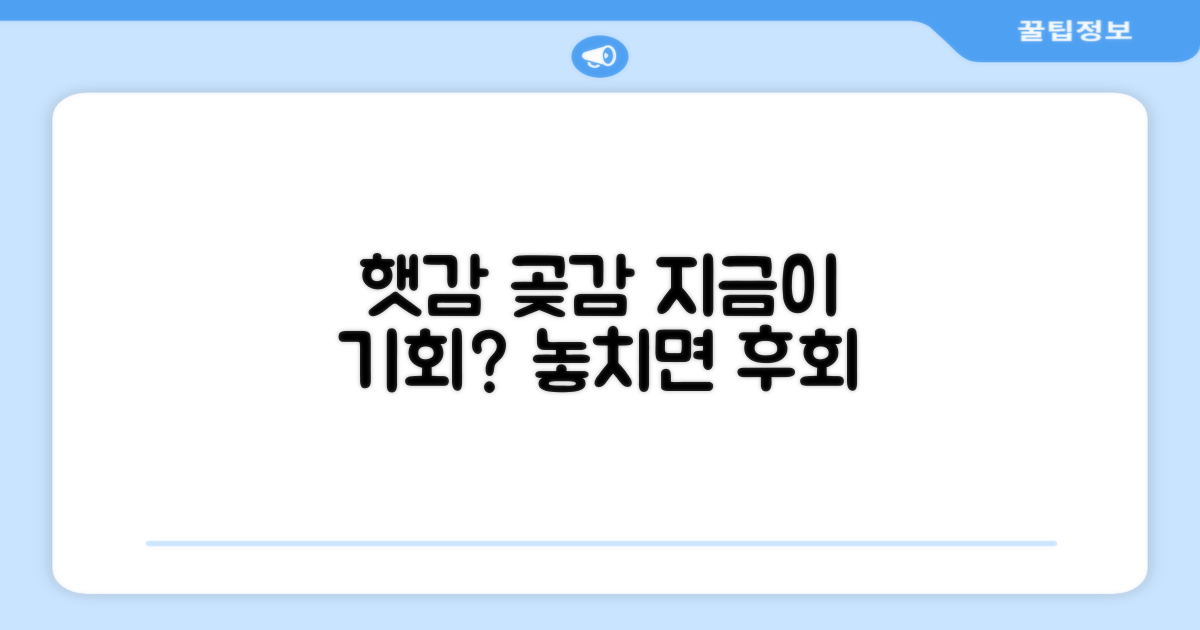 햇감 곶감, 지금이 기회일까?