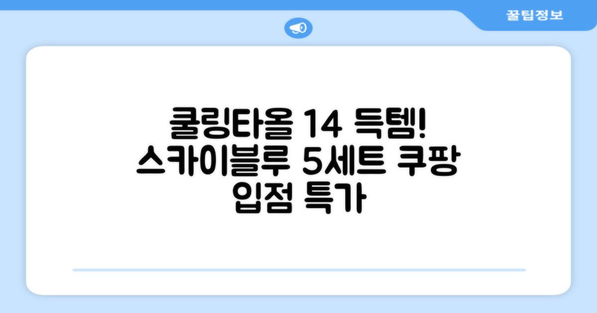 [쿠팡입점 1+4 이벤트] 아이스 쿨링 스포츠타올 건식 급냉 타올, 5세트, 스카이블루 추천 리뷰