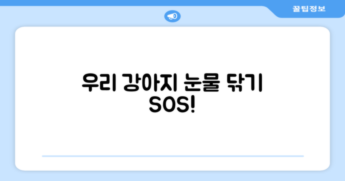 우리 강아지 눈물 닦아주세요