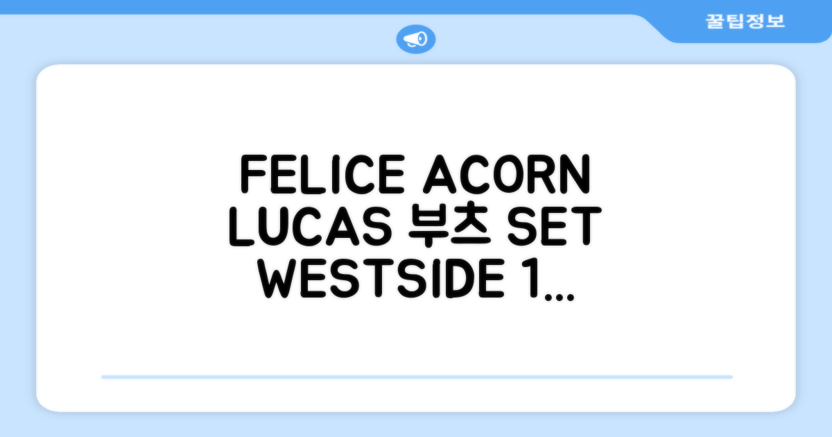 FELICE 장비세트6 ACORN데크 바인딩 LUCAS부츠, WESTSIDE 레드154+바인딩M, 1개 추천 리뷰