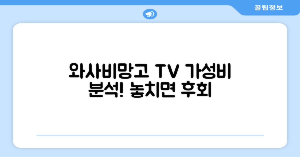 와사비망고 TV, 가성비 분석