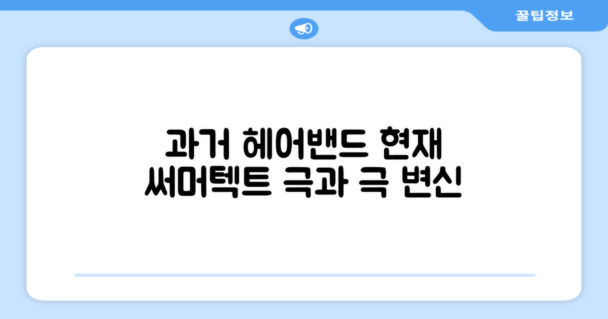 과거 헤어밴드, 현재 써머텍트