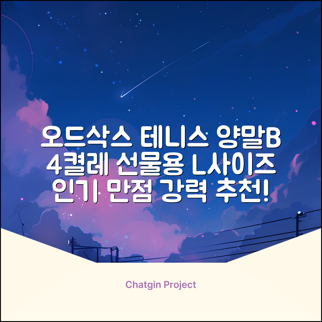 [오드삭스] 테니스 양말 세트B 4켤레 선물용, L(255mm-275mm), 1개 추천 리뷰
