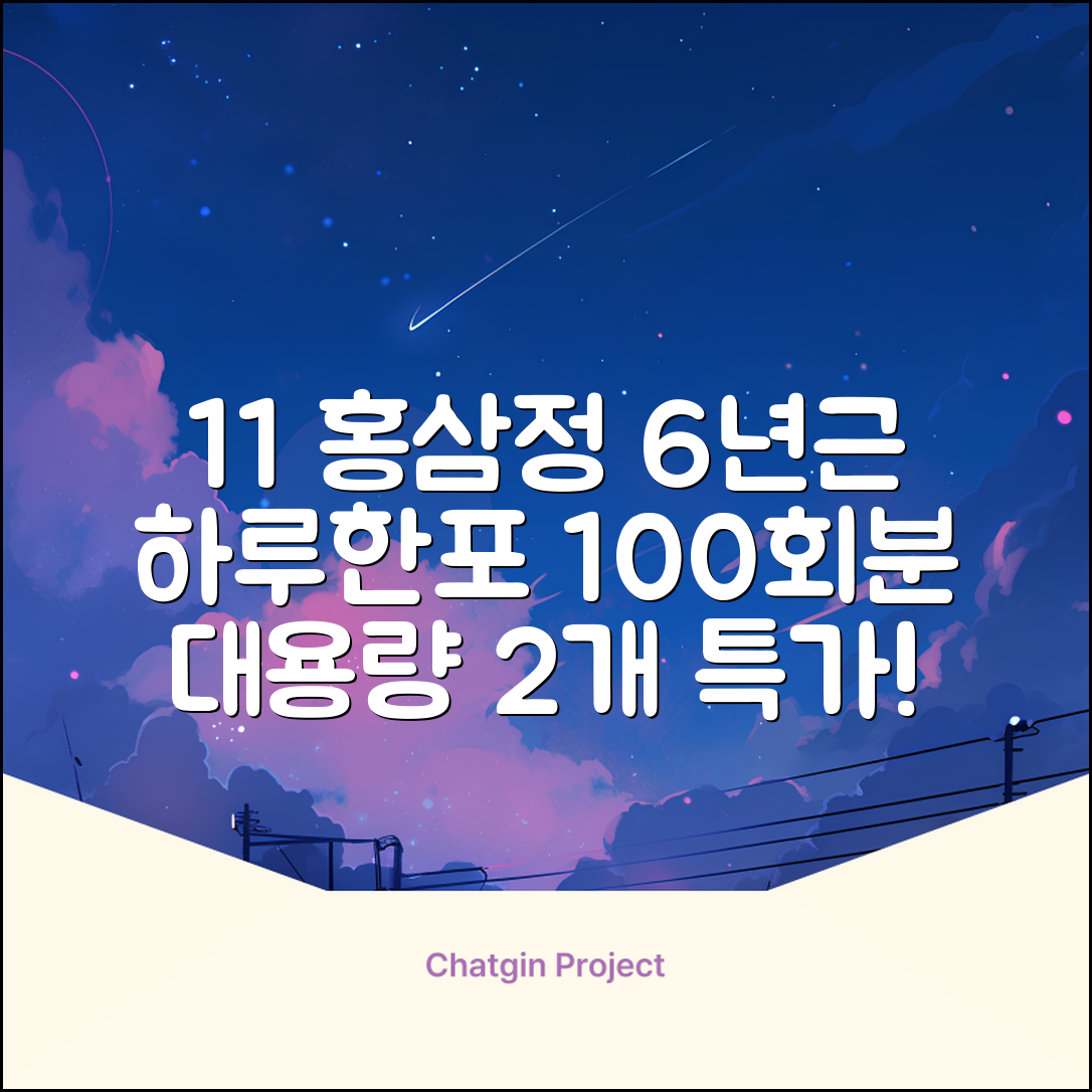 [1+1 특가] 홍삼정 6년근 하루한포 100회분 대용량+쇼핑백, 2개, 1L 추천 리뷰