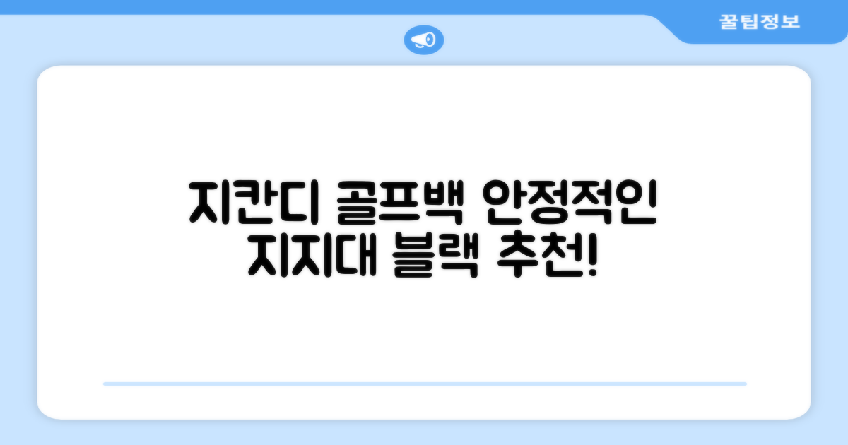 지칸디 골프 스탠드백 레그홀더 다리고정 바닥 지지대, 블랙 추천 리뷰