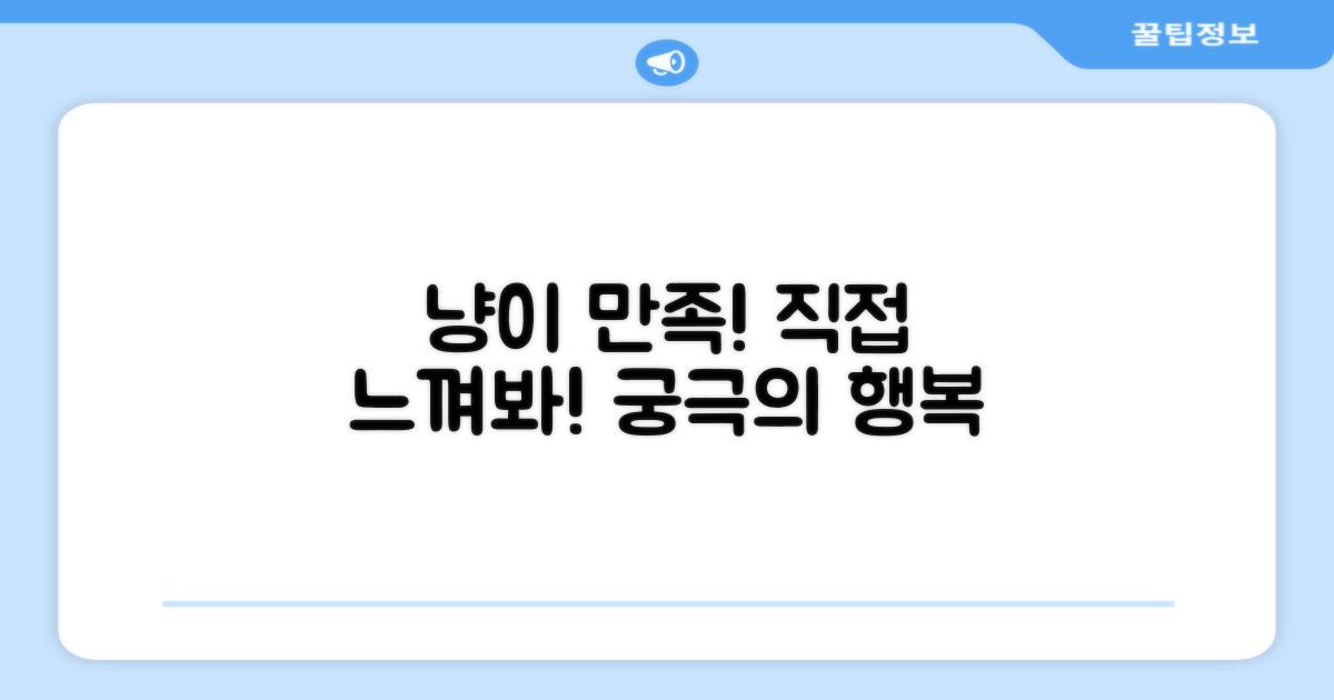 고양이 만족, 직접 경험하세요!