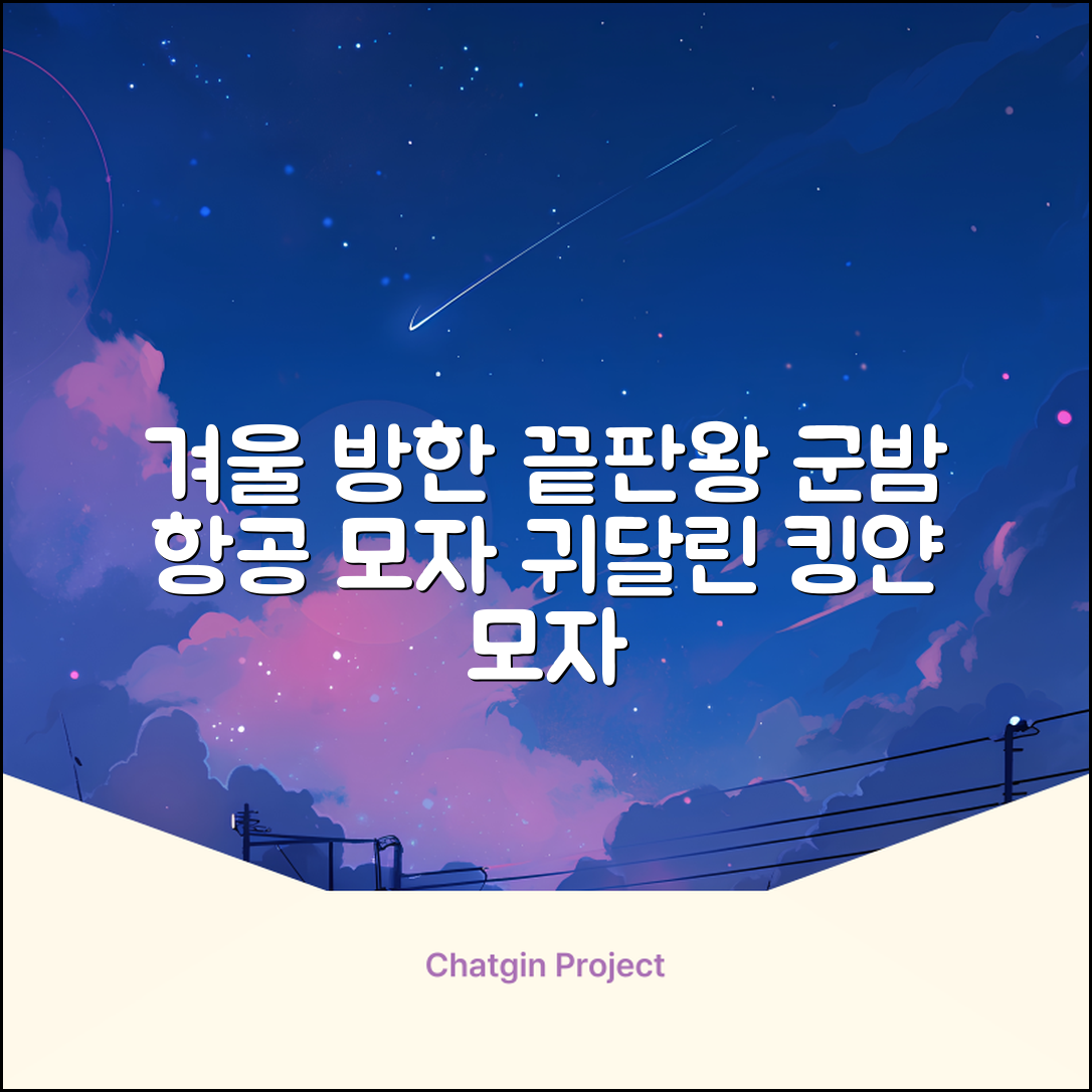 킹얀 겨울 방한모자 남여공용 군밤 항공 마스크 귀도리 모자 추천 리뷰