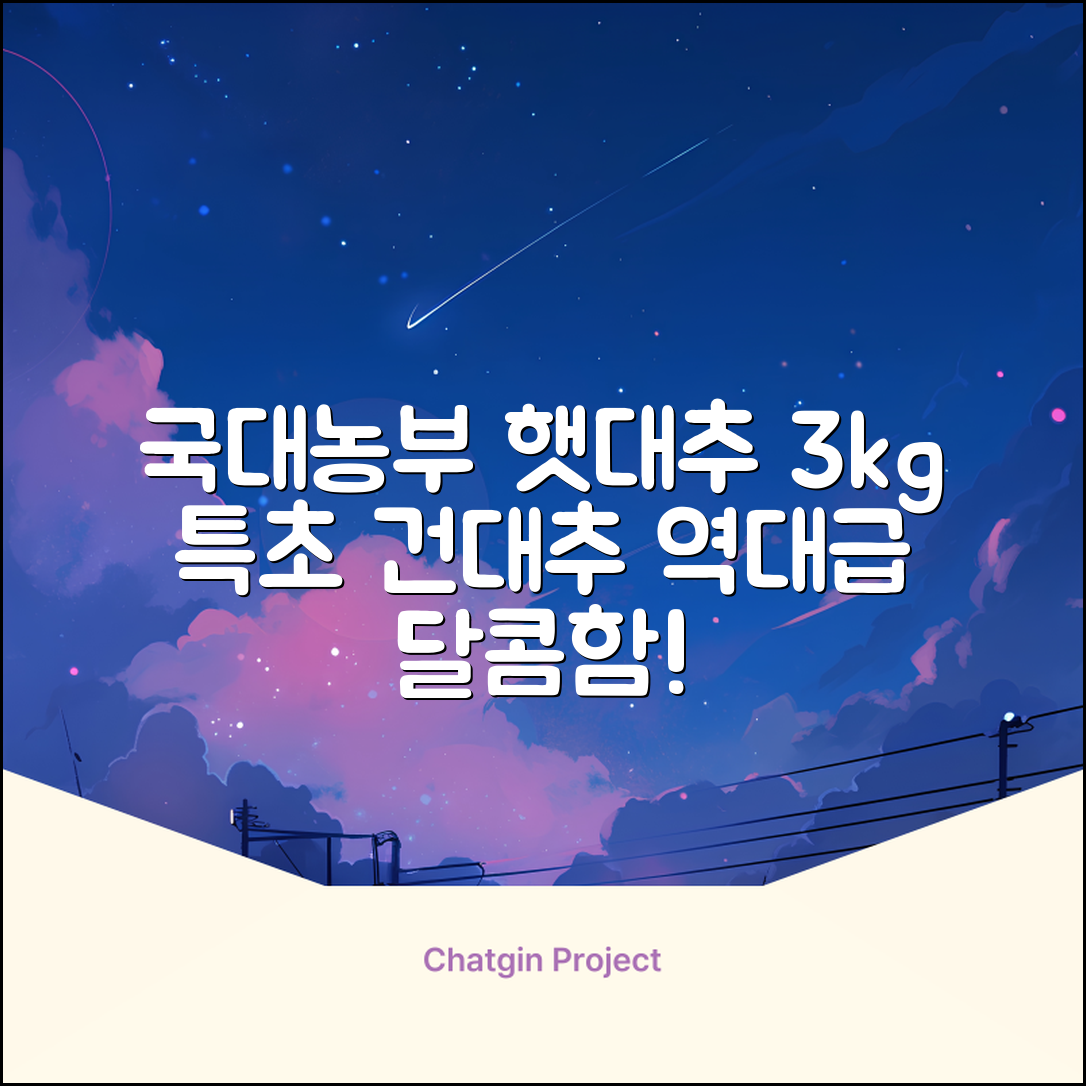 국대농부 경산 햇대추 건대추, 3kg(특초), 1개 추천 리뷰
