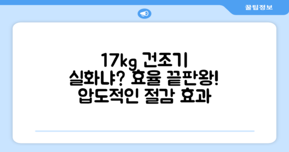 17kg 건조기, 얼마나 효율적일까?