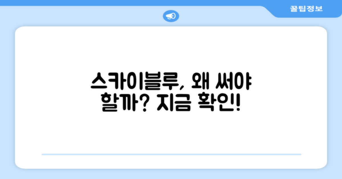 스카이블루, 왜 추천할까?