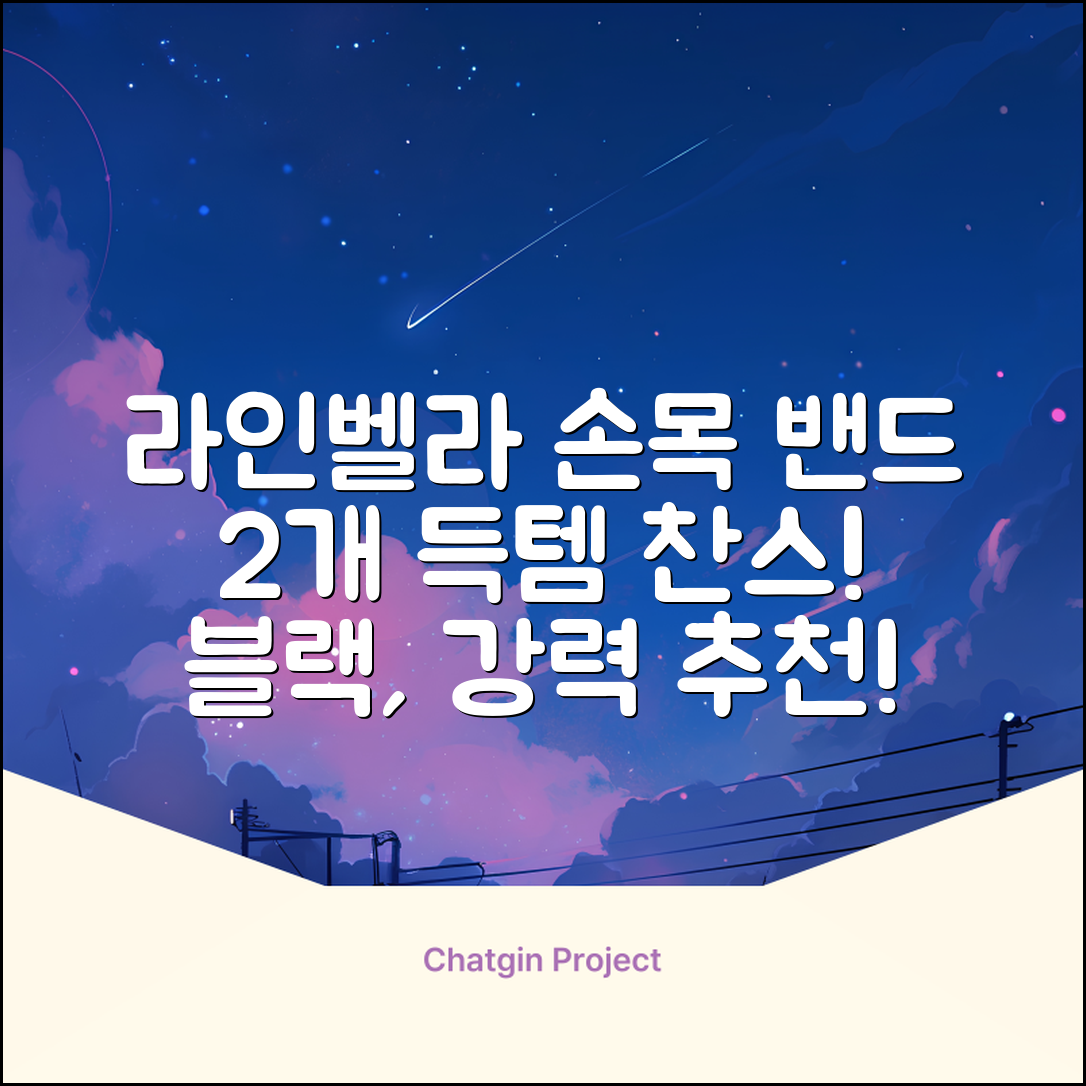라인벨라 의료용 손목 압박용 밴드 블랙, 2개 추천 리뷰