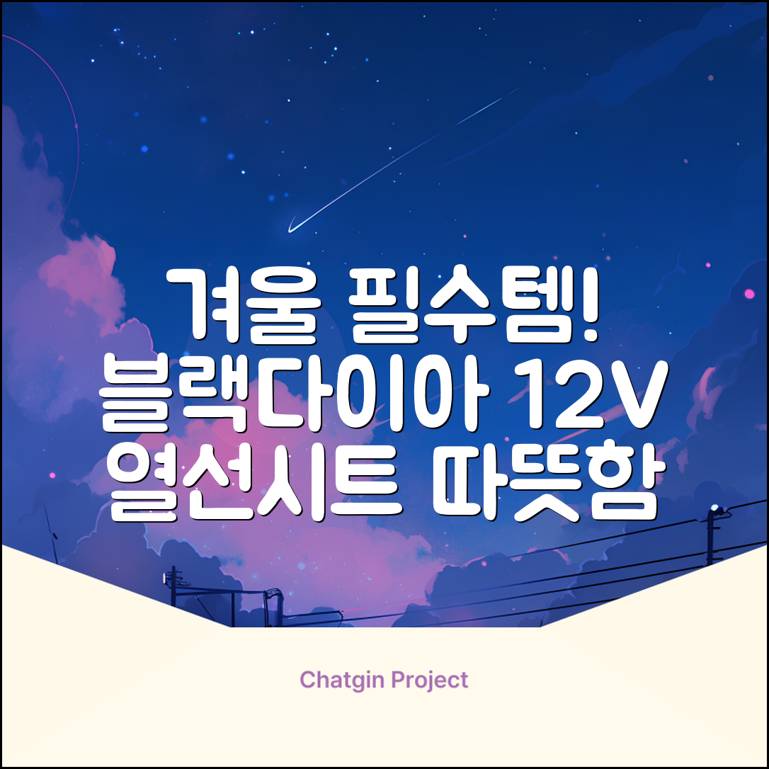 블랙다이아 차량용 열선시트 (1P) 털 겨울 히팅 전기시트, 1개, 12V (운전/조수석) 추천 리뷰