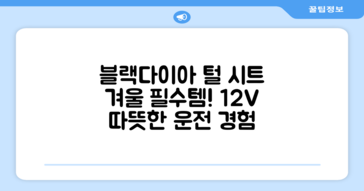 블랙다이아 차량용 열선시트 (1P) 털 겨울 히팅 전기시트, 1개, 12V (운전/조수석) 추천 리뷰