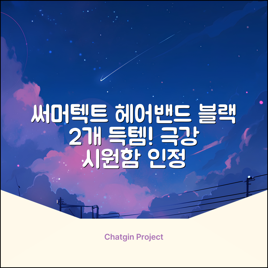 써머텍트 기능성 헤어밴드, 블랙, 2개 추천 리뷰