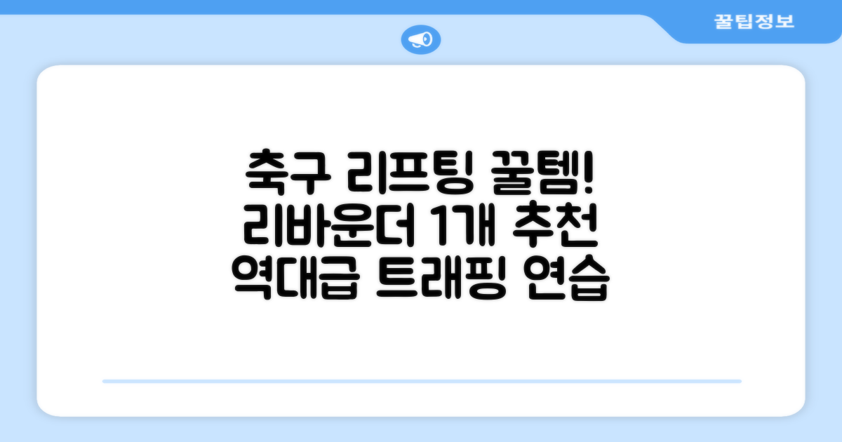 축구 리프팅 트래핑 리바운더 리바운드 네트, 1개 추천 리뷰