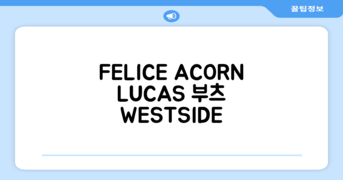 FELICE 장비세트6 ACORN데크 바인딩 LUCAS부츠, WESTSIDE 레드154+바인딩M, 1개 추천 리뷰