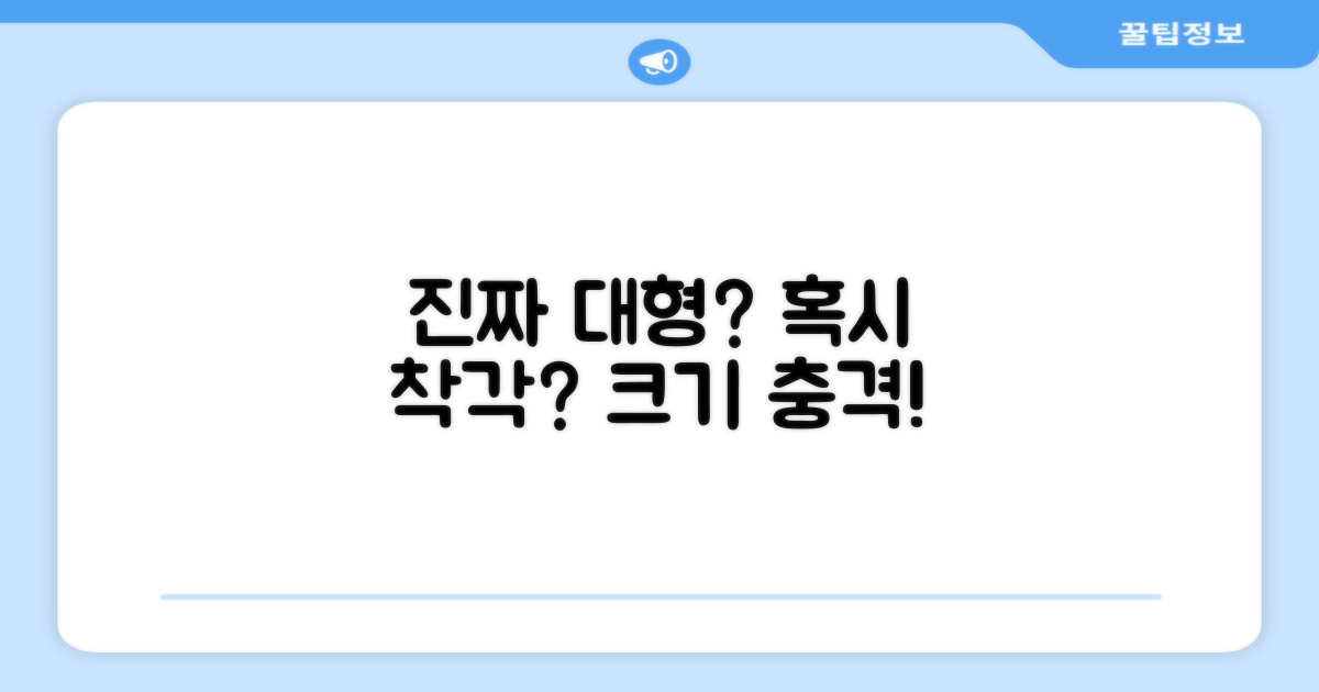 정말 대형이 맞을까요?