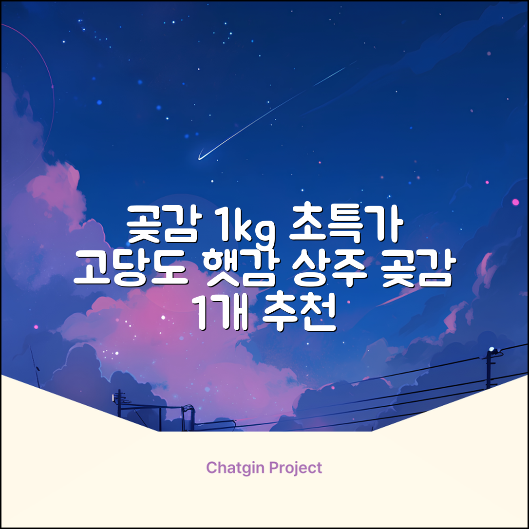 상주 곶감 초특가 1kg 고당도 햇감, 1개 추천 리뷰