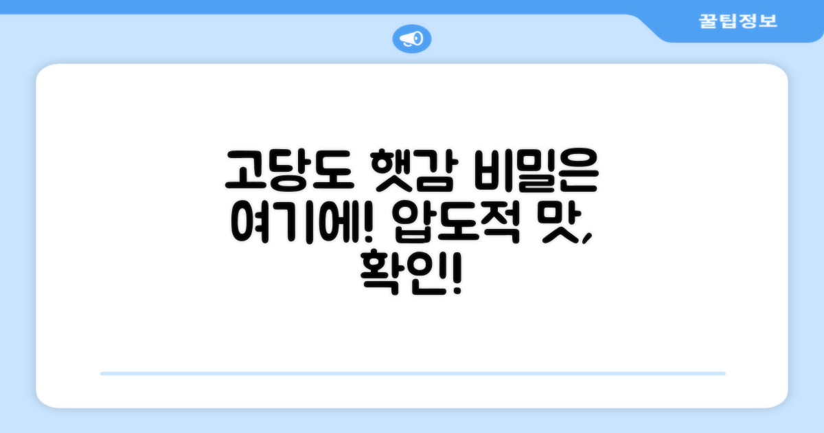 고당도 햇감, 맛의 비결은?