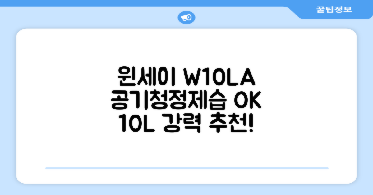 윈세이 인버터 방하나 공기청정 제습기 10L W10LA 추천 리뷰