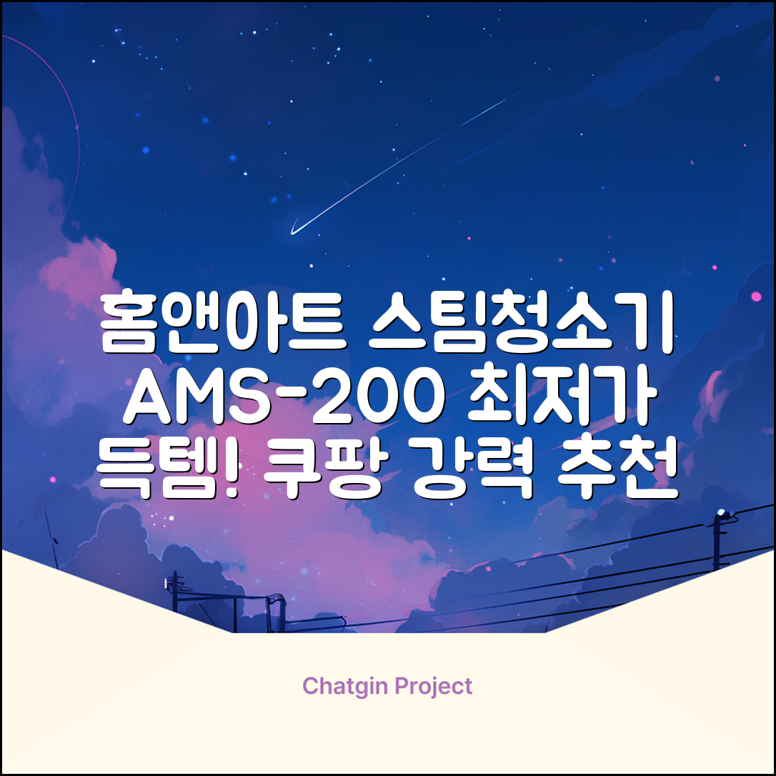 홈앤아트 퓨어 스팀청소기 AMS-200 추천 리뷰