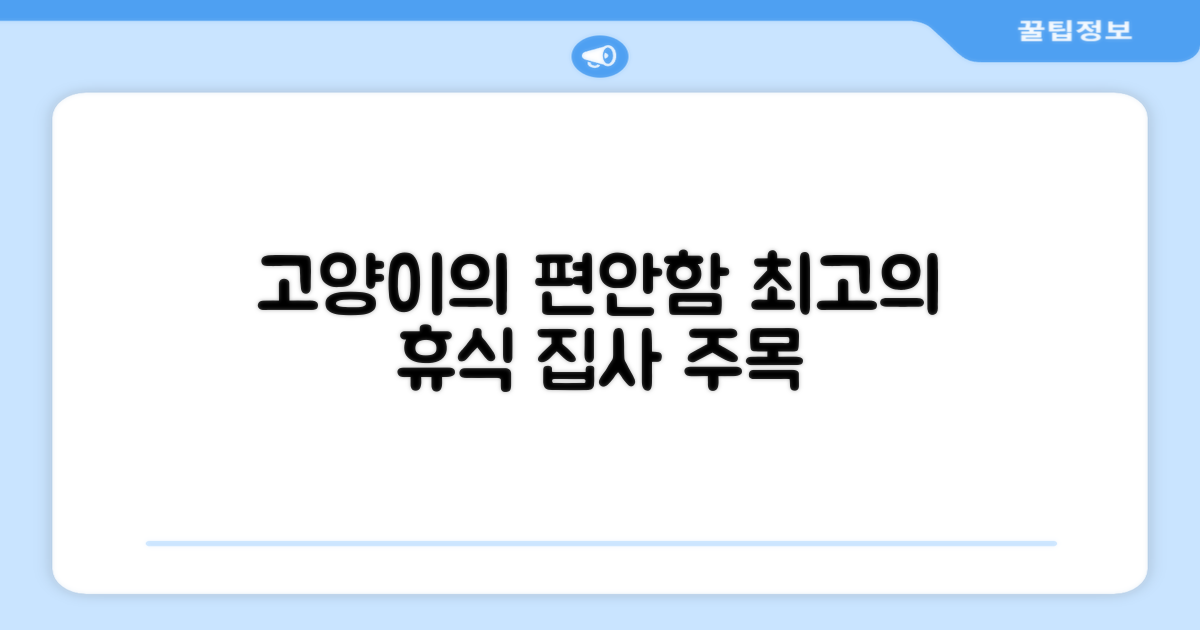 고양이의 편안함