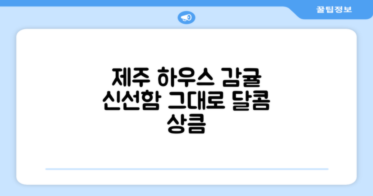 신선함 그대로, 제주 하우스 감귤 🍊