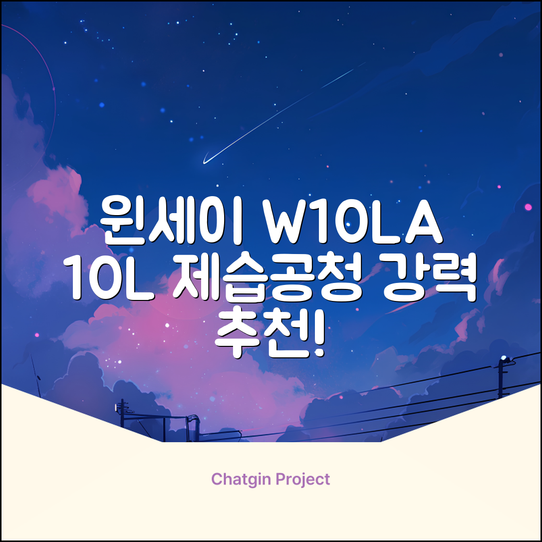 윈세이 인버터 방하나 공기청정 제습기 10L W10LA 추천 리뷰
