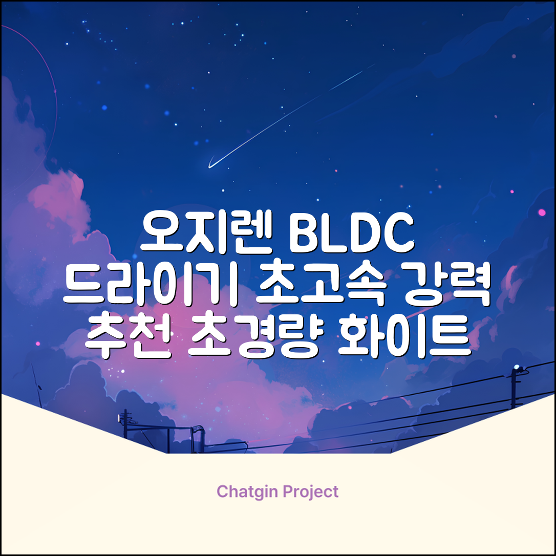 오지렌 초고속 고출력 초경량 음이온 BLDC 모터 헤어 드라이기, 화이트 추천 리뷰
