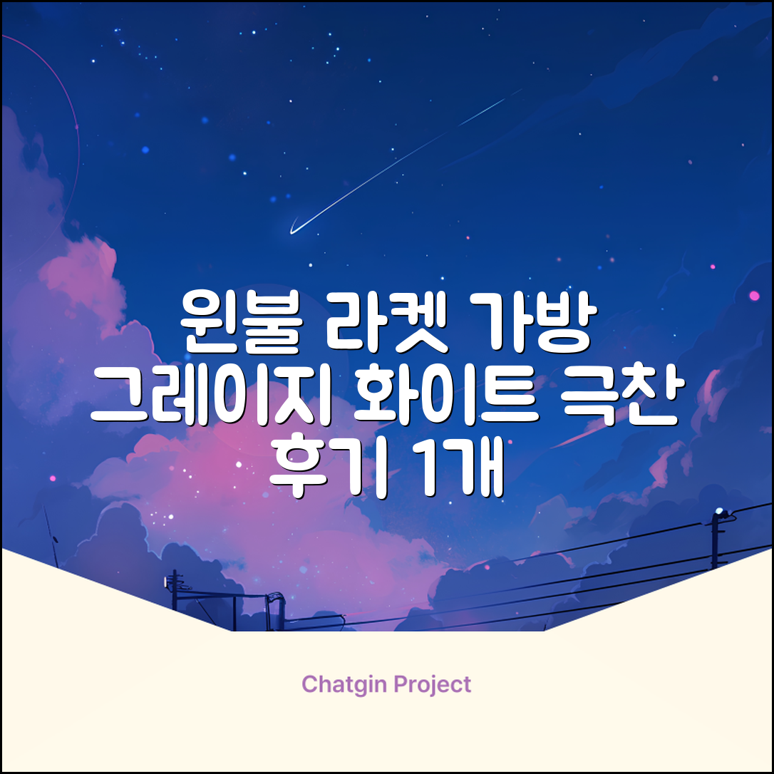 윈불 2단 배드민턴 테니스 라켓 가방, 그레이지 화이트, 1개 추천 리뷰