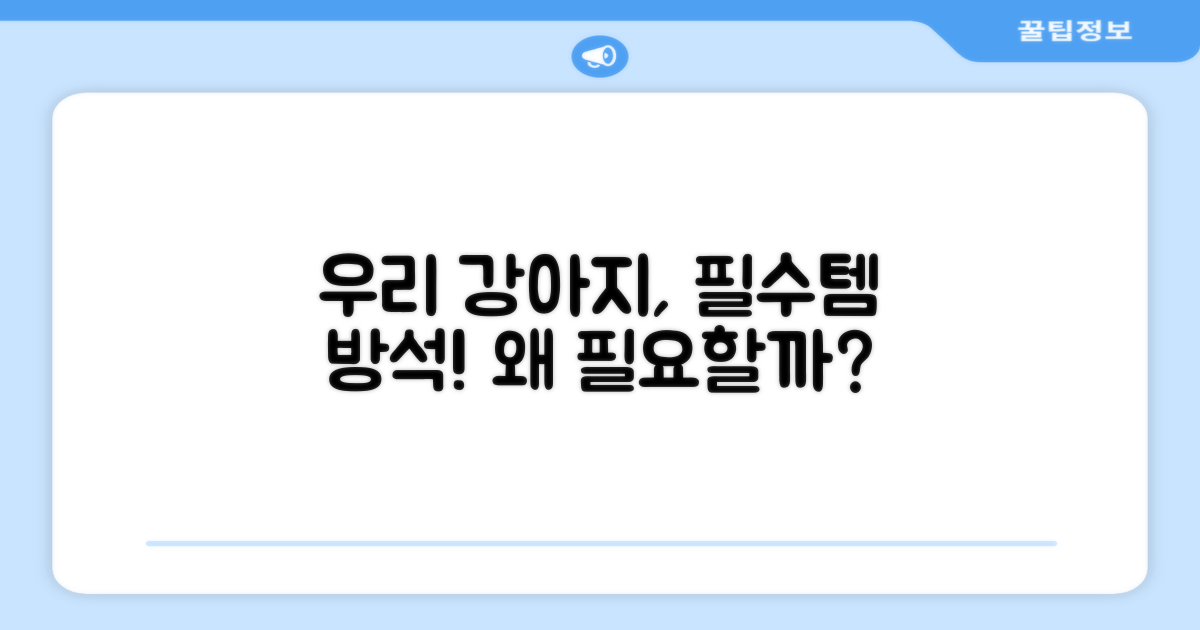 강아지 방석, 왜 중요할까요?