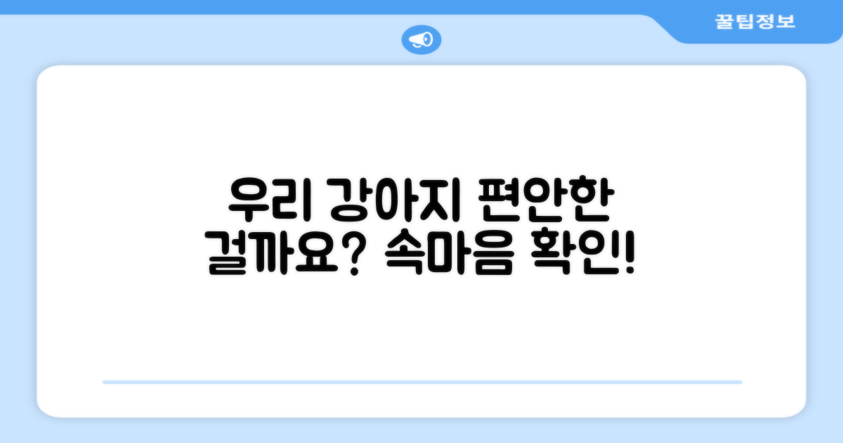 우리 강아지, 편안할까요?
