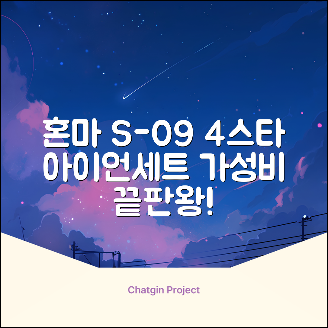 혼마아이언세트 남자아이언세트 S-09 혼마아이언 4스타 4/5/6/7/8/9/10/11/A/S 아이언커버 포함, 그라파이트S 추천 리뷰