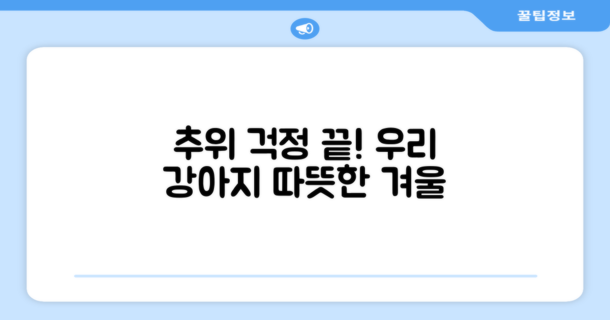 우리 강아지, 추위 걱정 끝?
