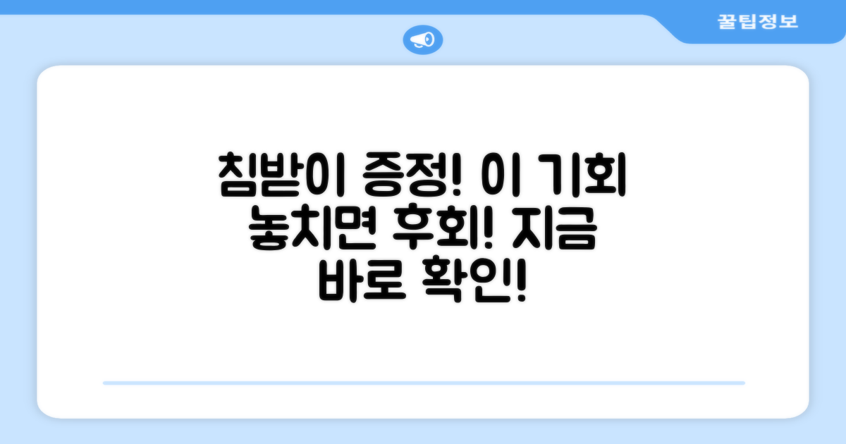 침받이 증정, 놓치지 마세요!