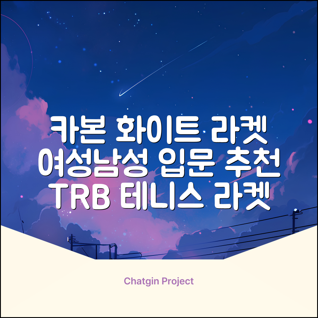 티알비 입문용 테니스라켓 여성 남자, 1개, 카본 화이트 추천 리뷰