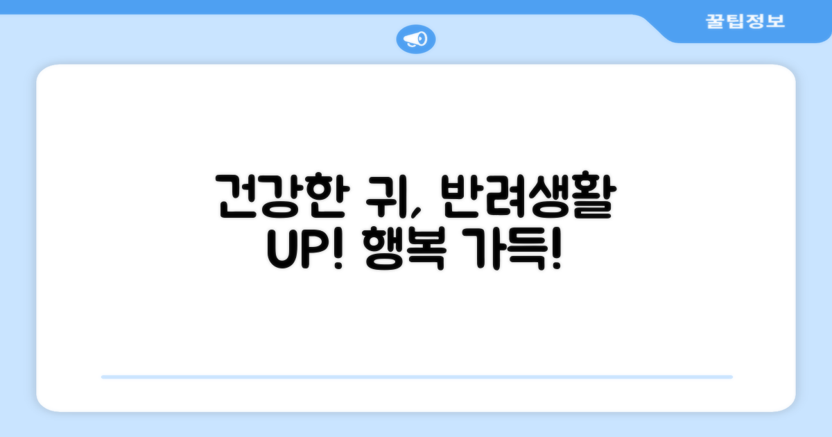건강한 귀, 활기찬 반려생활