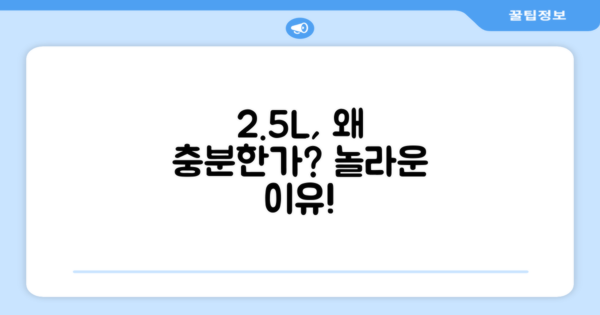 2.5L, 왜 충분할까?