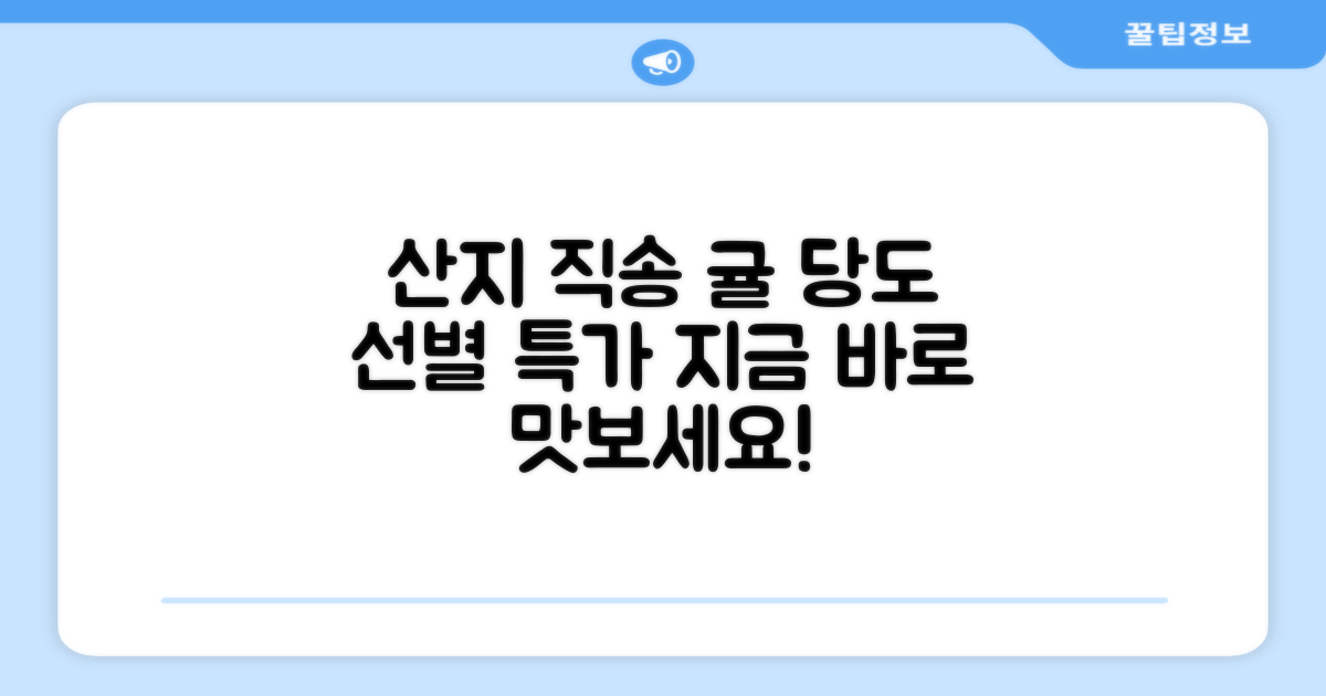 산지 직송 당도선별 귤 추천