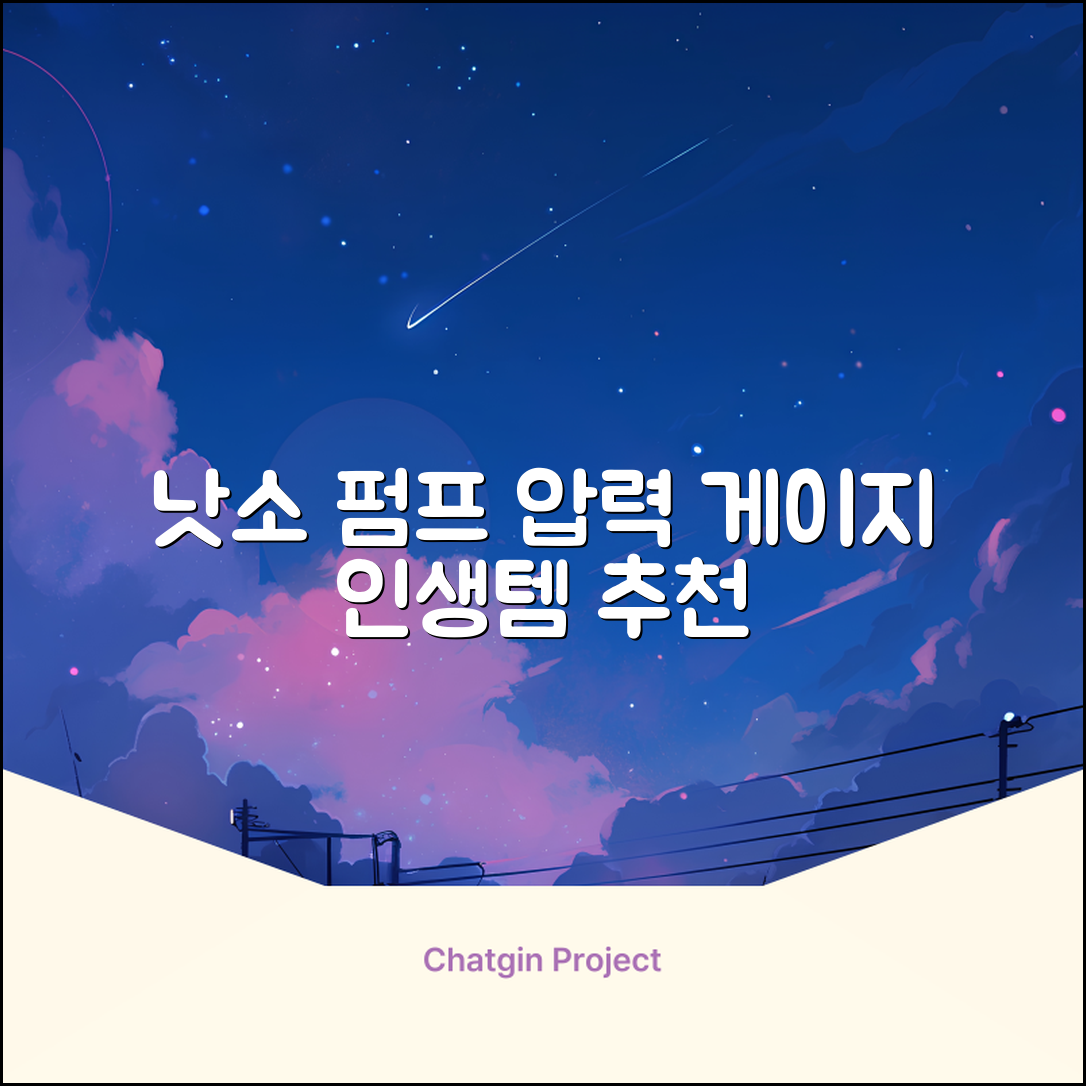 낫소 양방향 압력게이지 펌프, 블랙, 1개 추천 리뷰