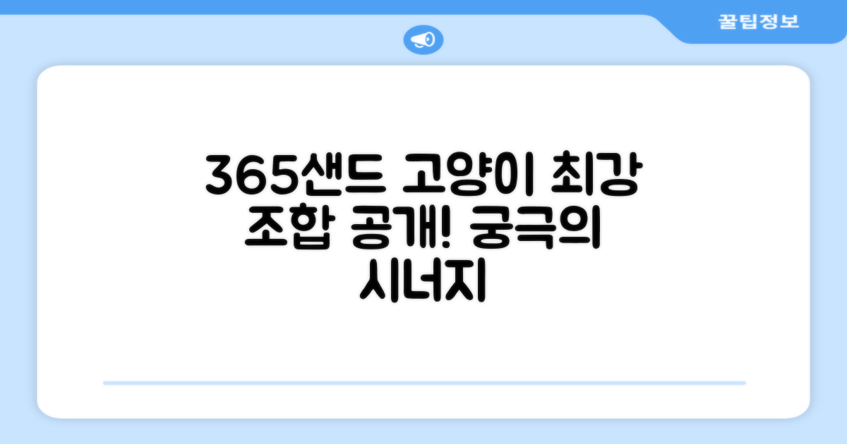 365샌드 고양이 최강 조합
